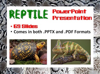 Preview of Reptile PowerPoint Presentation (Biology / Zoology)