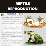 Reptile Reproduction | Vertebrates Unit | Reptile Biology 