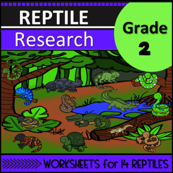 Preview of Second Grade Reptile Research Worksheets