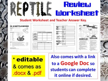 Preview of Reptile Review Worksheet for Biology & Zoology (Paper Copy & Online Version)