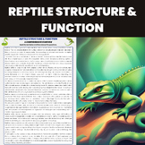 Reptile Structure and Function | Vertebrates Unit | Biolog