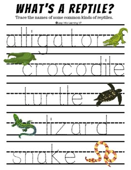 Reptile Themed Learning Packet by Leap Into Learning Virtual Preschool