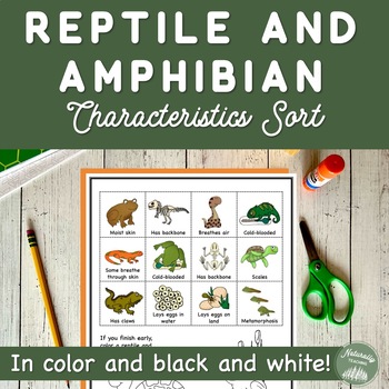 Preview of Reptile and Amphibian Characteristics Sort