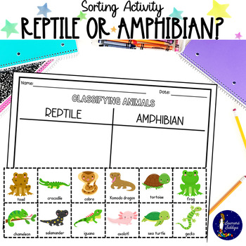 Preview of Reptile or Amphibian? Sorting Activity