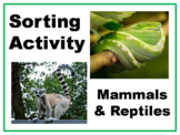 Reptile or Mammal Montessori Sorting Card Activity