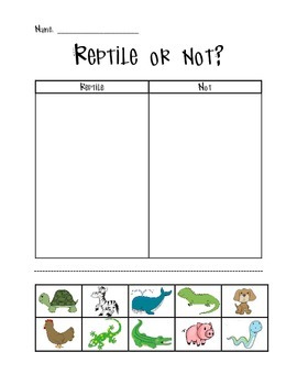 Preview of Reptile or Not?