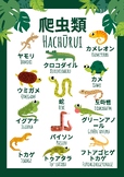 Sharing The Planet UOI - Language poster - Reptiles