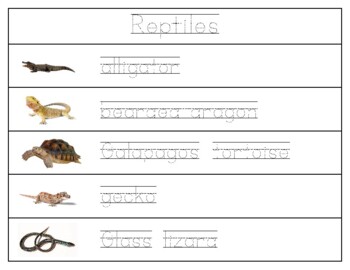 reptiles pictures with names