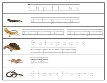 reptiles pictures with names