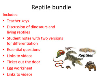 Preview of Reptile unit Bundle