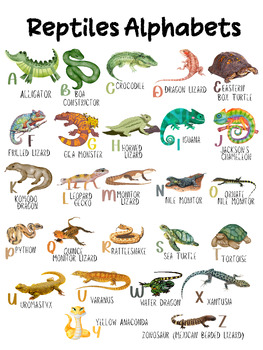 Preview of Reptiles Alphabets Poster for classroom and home school