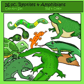 Preview of Reptiles & Amphibians Clip-Art: 8 B&W, 8 Color