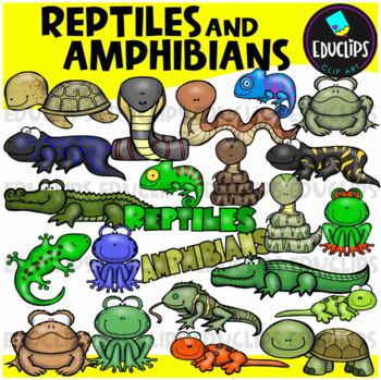 Preview of Reptiles & Amphibians Clip Art Set {Educlips Clipart}