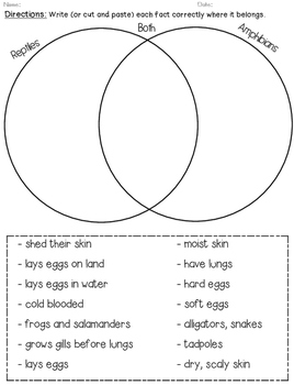 Grade 3 Amphibians Vs Reptiles Worksheet