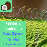 Reptiles Amphibians | Jigsaw Puzzles | Baby and Toddler Ac