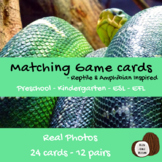 Reptiles Amphibians | Matching Activity | Kids Game