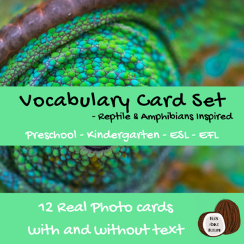 Preview of Reptiles Amphibians | Vocabulary Activity | Photo Cards