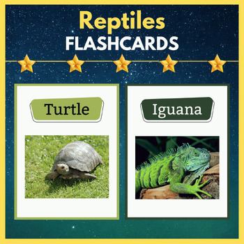 reptiles animals list