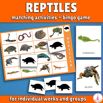 Preview of Reptiles Bingo Activity Cards Montessori