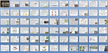 Preview of Reptiles Birds Smartboard Notebook Presentation Lesson Plan