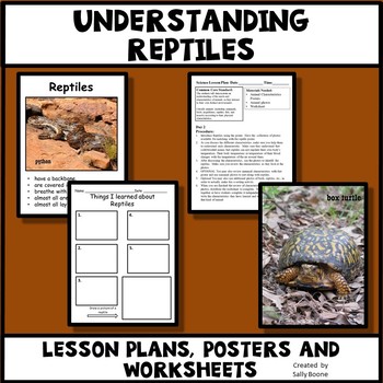 Preview of Reptiles - Characteristics of Animals Leson Plan, Photos, Poster