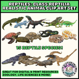 Reptiles Clip Art Set I Realistic Animals