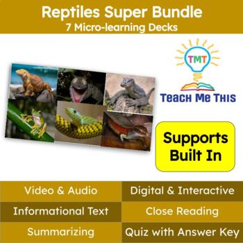 Preview of Reptiles Informational Text Reading Passage and Activities SUPER BUNDLE