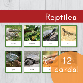 Preview of Reptiles • Montessori Three Part Cards • Flash Cards