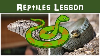 Preview of Reptiles Lesson with Power Point, Worksheet, and Color Activity