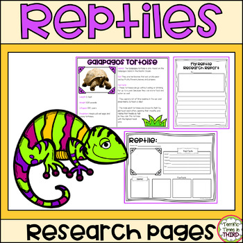 Preview of Reptiles Research: Informational Reading and Writing Pages