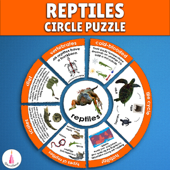 Preview of Reptiles Study Animal Group Classification Montessori Activity Vertebrates