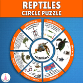 Reptiles Study Animal Group Classification Montessori Acti