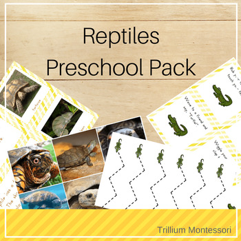 Preview of Reptiles Theme Preschool and PreK Skills