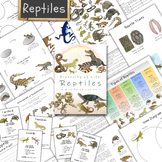 Reptiles Unit: a study of the biodiversity and traits of r