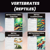 Reptiles Vertebrates | Classification, Reproduction, Evolu