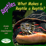 Reptiles – What Makes a Reptile a Reptile (Nonfiction Scie
