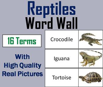 Preview of Reptiles Word Wall Cards