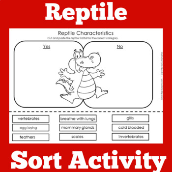 Reptile Reptiles | Worksheet Activity Kindergarten 1st 2nd 3rd 4th 5th