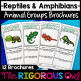Reptiles and Amphibians - Animal Groups and Animal Classif