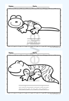 Reptiles and Amphibians Trace and Color - Coloring Pages - Trace the ...