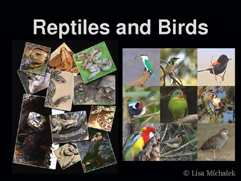 Preview of Reptiles and Birds PowerPoint Presentation Lesson Plan