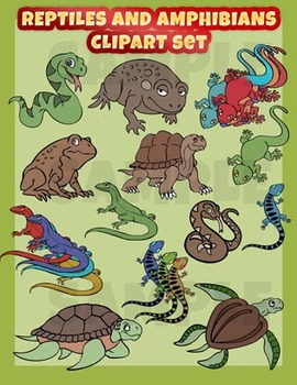 Preview of Reptiles and amphibians clip art set