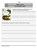 Reptiles by Joyce Pope - Comprehension Packet with Text De