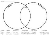 Reptiles vs Amphibians Venn Diagram Non-fiction Reading