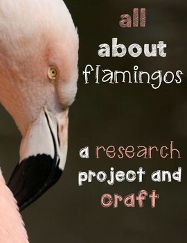 Preview of Research (All About Flamingos)