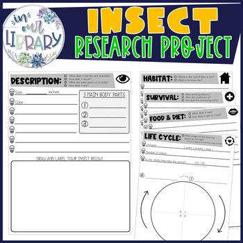 Preview of Insect Research Project