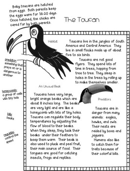 4th grade research report topics