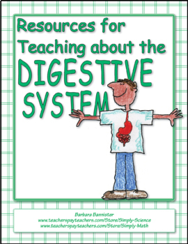 Preview of Digestive System: Activities, Models, Assessments, Presentations, a Web Page+