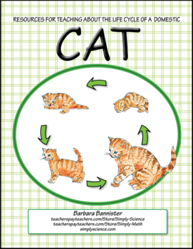 Life Cycle of a Cat by Simply Science 