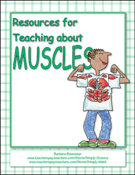 Preview of Muscular System: Activities, Assessments, Presentations, Puzzles, a Web Page+